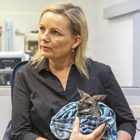 Environment Minister Sussan Ley said the $150m would do the "heavy lifting" for wildlife recovery.