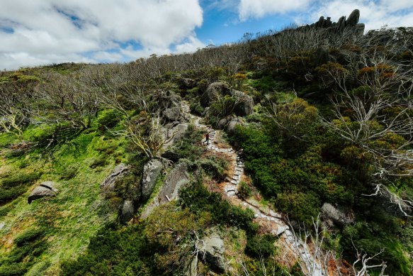 The final leg of the track is complete: Perisher to Bullocks Flat.