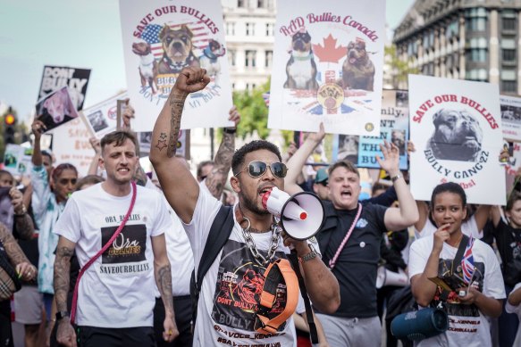 XL bully owners march through Westminster last October  to protest then-prime minister Rishi Sunank’s proposed ban on the dog breed. 