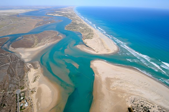 Murray River proposal for ocean opening 'a furphy', paper finds