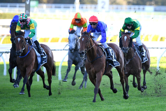 Rubisaki winns the last leg of Saturday's quaddie at Randwick but by then some punters had cashed out for a windfall.
