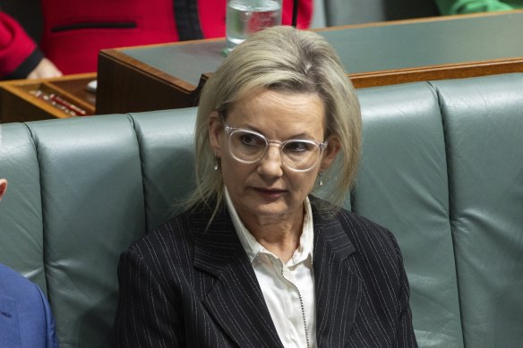 Deputy Liberal leader Sussan Ley at question time earlier this year.