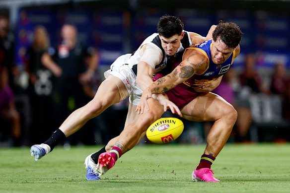 Neither Brayden Maynard nor Cam Rayner take a backward step.