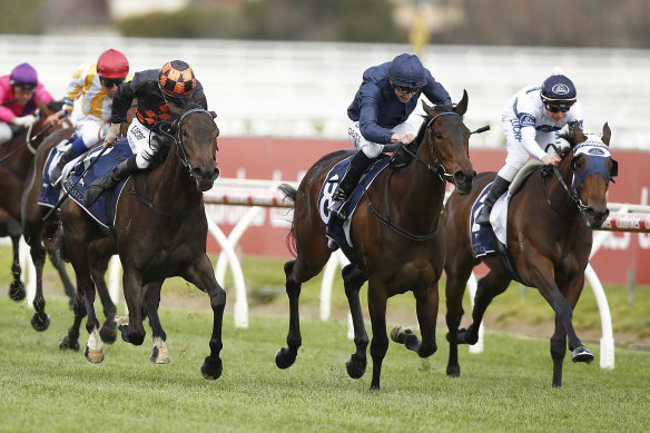 Three-year-old filly Gamay won the group 3 Ethereal Stakes last month.