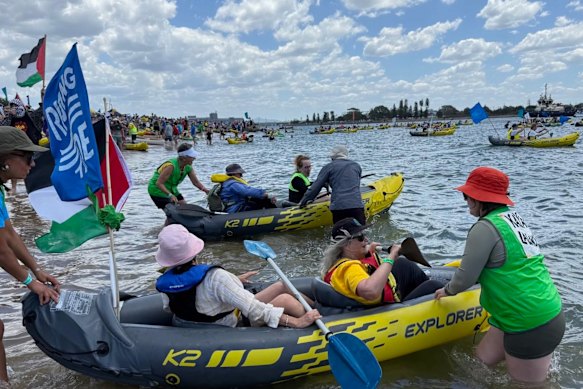 Journalist and activist Wendy Bacon at the Rising Tide climate protest in Newcastle on the weekend.