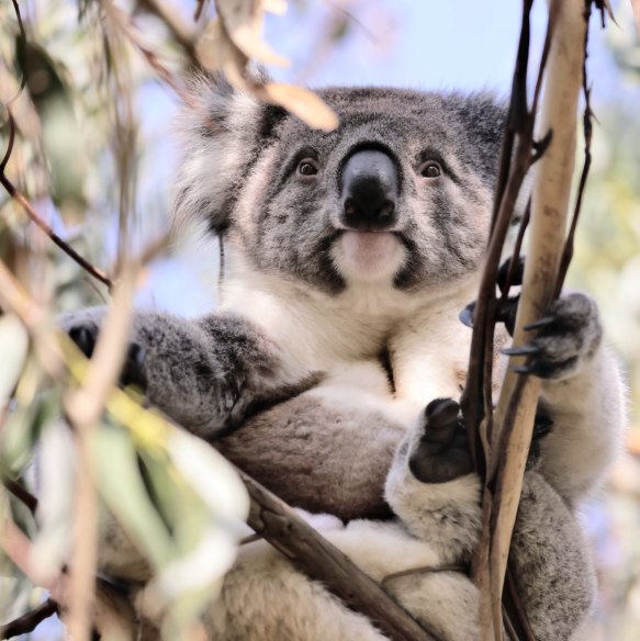 This could be the last time. Maybe the last time, I don’t know