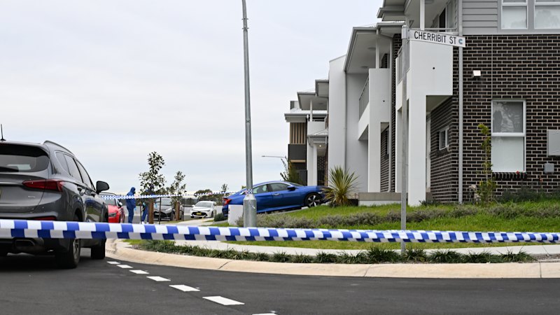 Man fatally stabbed in driveway of Sydney home