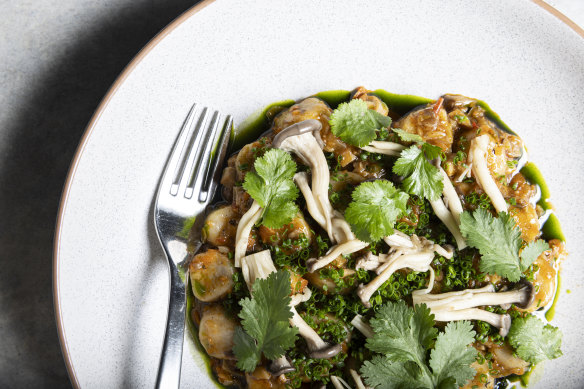 Buckwheat “gnocchi” with mushroom ragu.