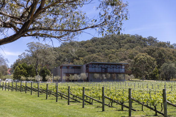The winery, restaurant and cellar door overlooks rows of vines.
