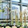 ClearVue Technologies and its subsidiary Opticrop’s root-zone warming and cooling technologies can maintain crop root temperatures, moisture and nutrient supply within an optimum range to sustain maximum plant health and productivity.
