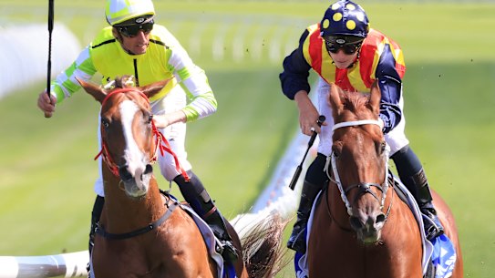 Eduardo (left) and Nature Strip will be among Classique Legend’s biggest rivals.