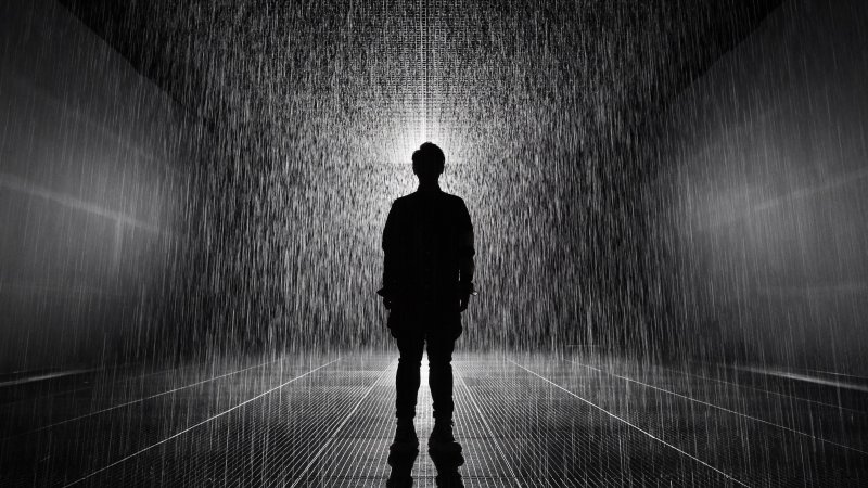 Nature By Design The Rain Room