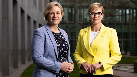 Independent MPs Zali Steggall and Zoe Daniel want the government to commit to expanding paid parental leave.