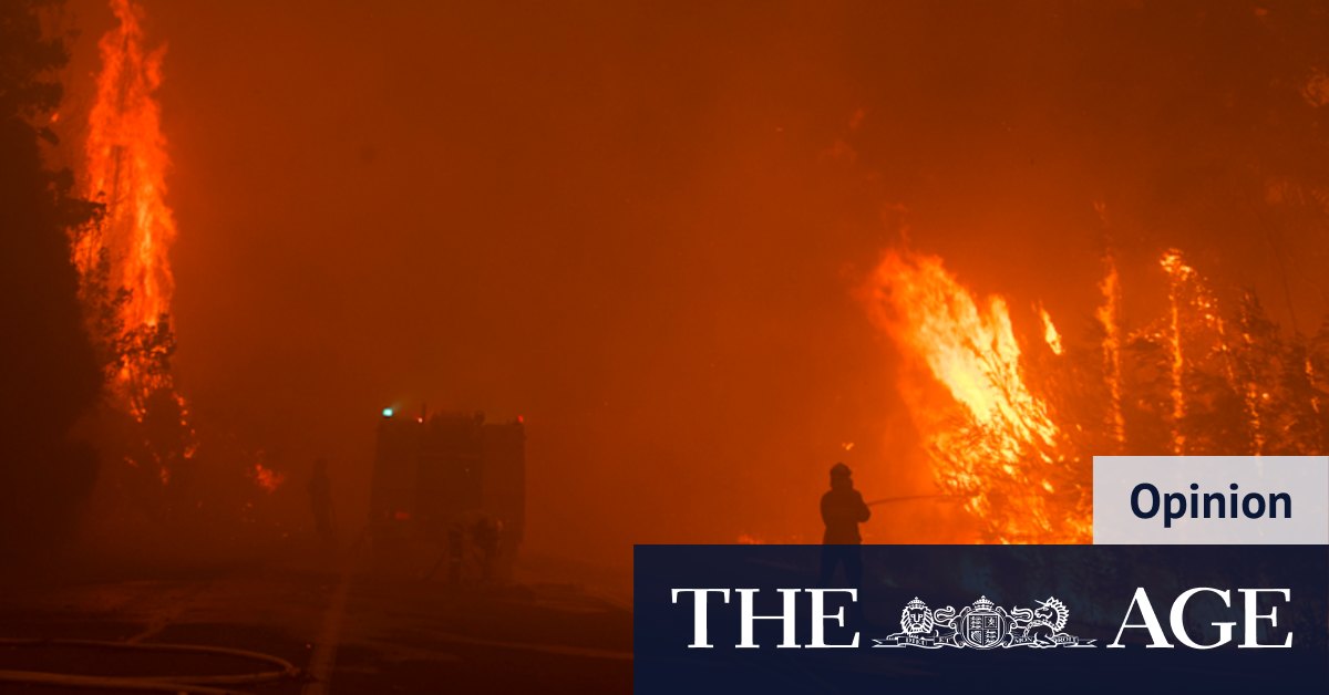 Our fear of fire is the very reason we need to fear more black summers - Vimarsana News