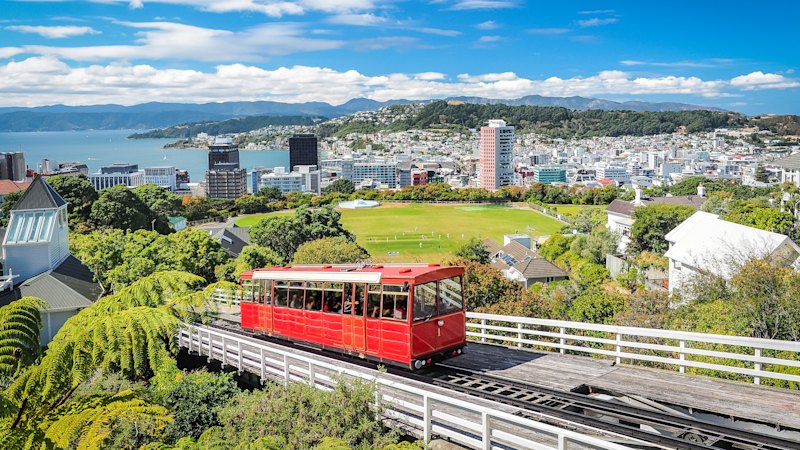 Author recalls being sacked while on holiday in New Zealand’s capital