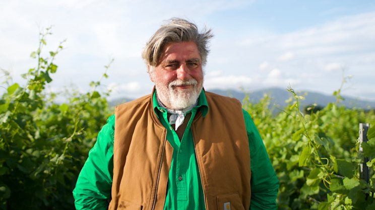 smh.com.au - Bridget McManus - 'It's not easy. It's not glamorous': How Matt Preston found a renewed sense of purpose on TV