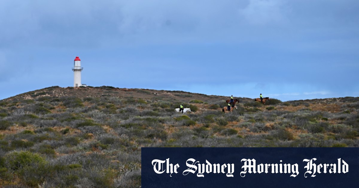Search efforts around camp to wind down seven days after Cleo Smith last seen - Vimarsana News