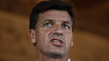 Energy Minister Angus Taylor.