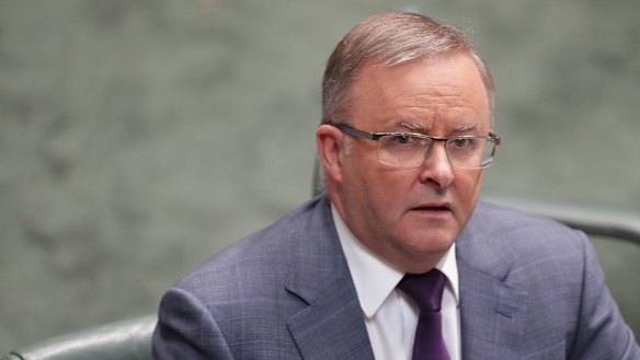 Labor leader Anthony Albanese is playing down tensions within his party over its position on coal .