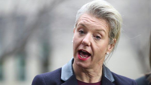 Bridget McKenzie backed government spending on coal power stations with carbon capture storage.