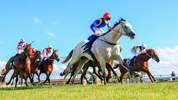 Frosty Rocks  breaks the 1400m track record in the Spring Preview.