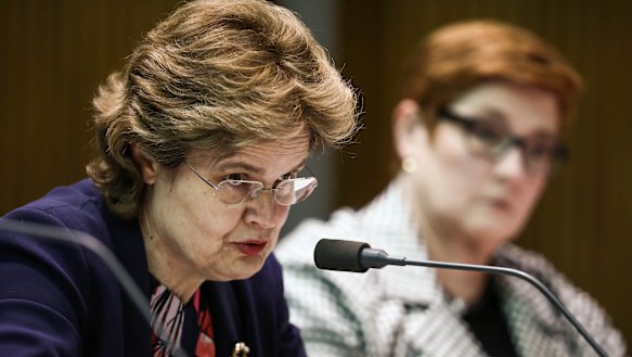 Department of Foreign Affairs and Trade secretary Frances Adamson and Foreign Minister Marise Payne.