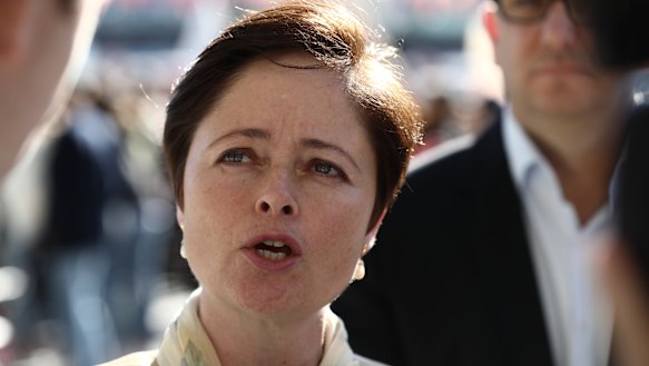 Mulgoa MP Tanya Davies says she will make a decision on her political future after the abortion bill is finalised. 