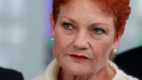 Pauline Hanson said she'd "kick" the nine-year-old girl "up the backside" for her actions. 