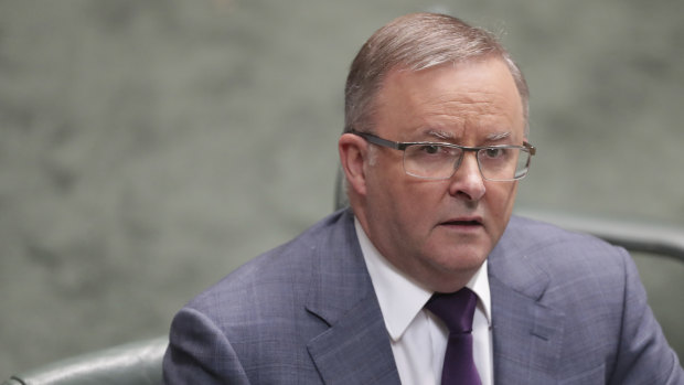 Labor leader Anthony Albanese is playing down tensions within his party over its position on coal .