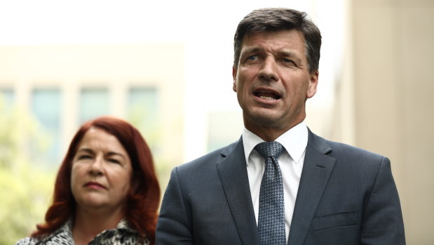 Energy Minister Angus Taylor, with Environment Minister Melissa Price, said ute-driving tradesmen would be left stranded by Labor's policy.