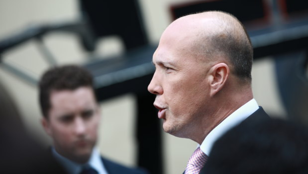 The company owned by Peter Dutton's family trust received millions in Education Department funding, placing him in danger of falling foul of the constitution.