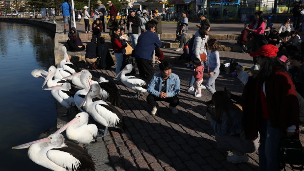 Tourist at The Entrance enjoy their freedom on the long weekend after  coronavirus travel restrictions were lifted.