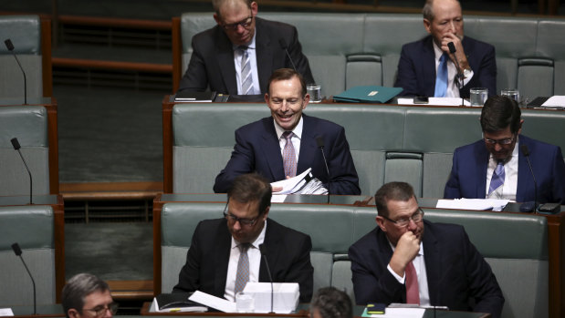 Abbott in QT today.