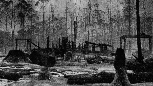 The remains of James Fitzpatrick's mill, in the Matlock Forest.