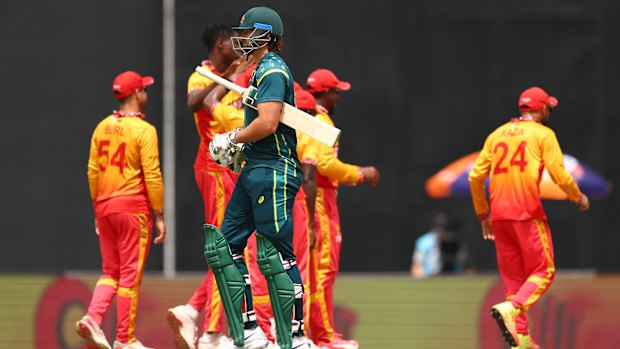 Tim David trudges off after being dismissed against Zimbabwe.