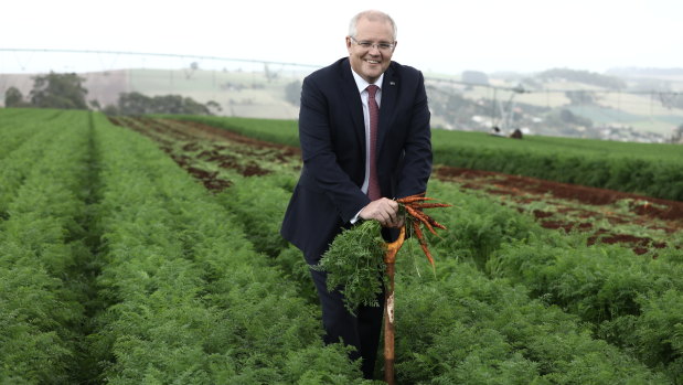 Scott Morrison, campaigning in Tasmania, said Bill Shorten did not fully understand the economic impact of his climate policies.