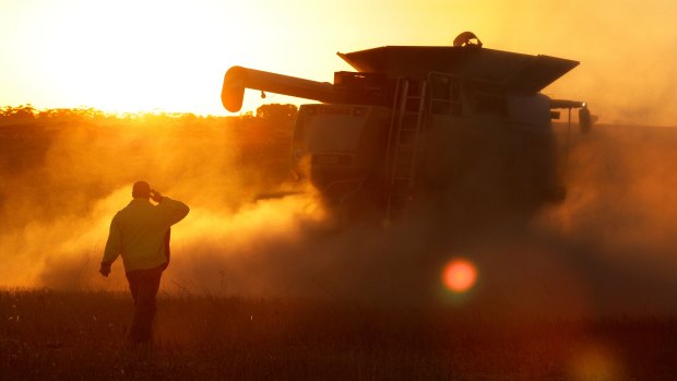 The drought will wipe millions of tonnes off crop production in eastern Australia.
