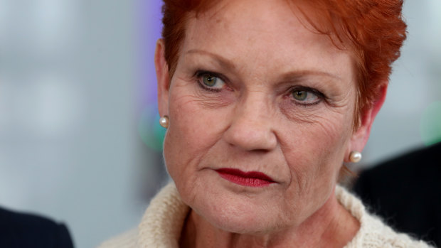 Pauline Hanson said she'd "kick" the nine-year-old girl "up the backside" for her actions. 
