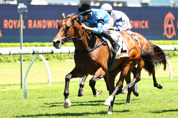 Jett Stanley has three wins on Naval College and will chase his first stakes win on the import in  Saturday’s January Cup.