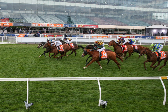 Sierra Sue, with Daniel Moor in the saddle, wins the Sir Rupert Clarke Stakes at Caulfield in front of an empty grandstand.