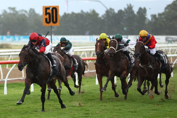 Schwarz dashes clear to take out the Hawkesbury Guineas in May.