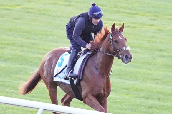 Vauban zipped around Flemington on Tuesday alongside stablemate Absurde.