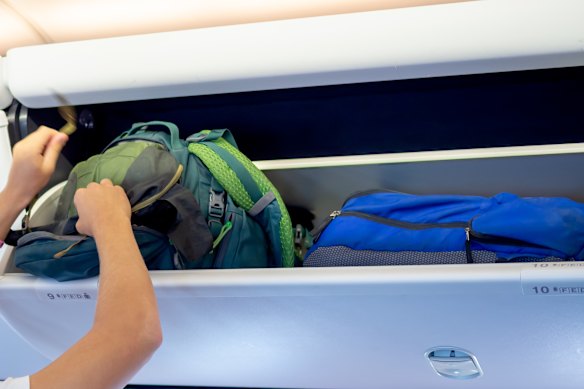 A soft bag is less likely to be targeted by ground staff than a wheelie case.