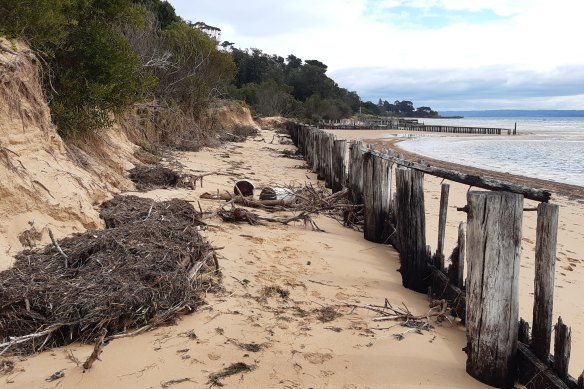 Erosion at Cowes East