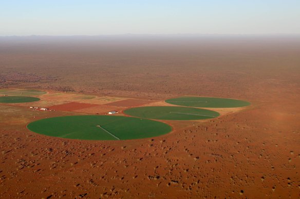 Caason Group acquired Oolloo Farm in 2021.   