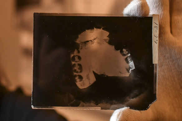 Close-up shot of one of the glass plate negatives.