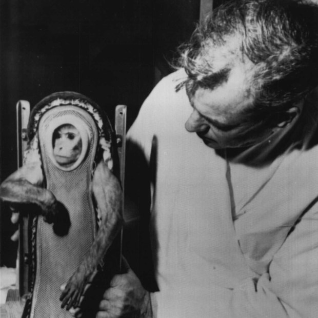 With Scientists