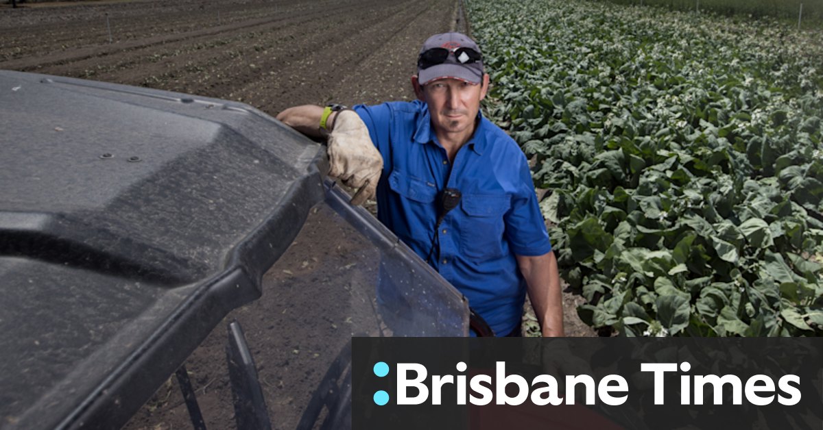 COVID Victoria: Farmers dump produce as supply chain crisis bites - Vimarsana News