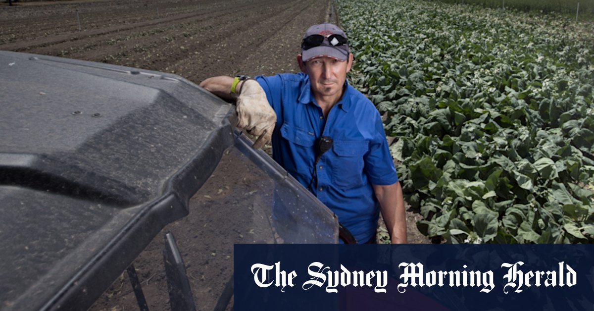 COVID Victoria: Farmers dump produce as supply chain crisis bites - Vimarsana News