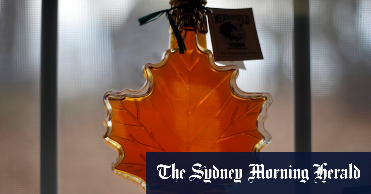 Maple heist: Man behind 'great Canadian maple syrup heist' fined $9.5 million - Vimarsana News